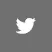 Twitter logo representing REAL Transfers customer service support.